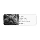 Search for domestic return address labels Cat