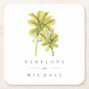 Search for beach palm Greenery