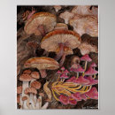 Search for mushroom posters Woodland