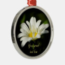 Search for daisy ornaments Bloom