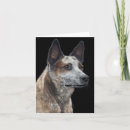 Search for acds cards Heeler