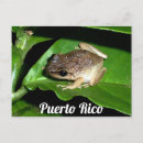 Recherche de porto cartes postales Coqui