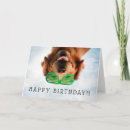 Recherche de compagnon vœux cartes Chiens