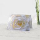 Search for soft rose cards Pretty