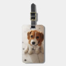 Recherche de foyer bagages étiquettes Chiot