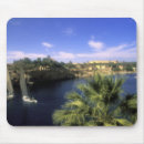 Search for aswan electronics River