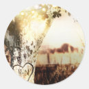 Recherche de arbre de bouleau autocollants Forêt