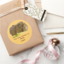 Search for small pig stickers Cute animal