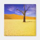 Search for dead tree Dry