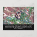 Search for change life postcards Motivational