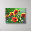 Search for blankets canvas prints Flower