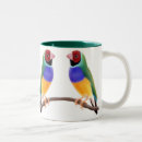 Search for finch mugs Wildlife