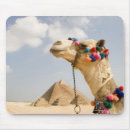 Recherche de orient tapis souris Destinations de voyage