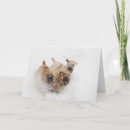 Search for wheaten terrier christmas cards Terriers