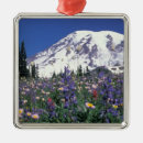 Search for mt rainier ornaments National park