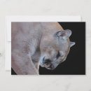 Search for cougar cards Puma