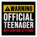 Search for 13th posters Teenager