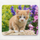 Recherche de animal lover électronique Cute