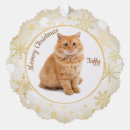 Search for cat memorial ornaments Merry christmas