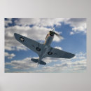 Search for p40 Flying