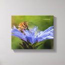Search for pollen canvas prints Floral