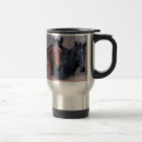 Search for wild mugs Foal
