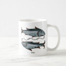 Recherche de gaius tasses Constellation