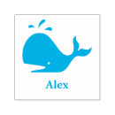 Search for cute orcas Sea