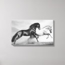 Search for horse canvas prints Clouds