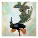 Recherche de paon fier art Bleu