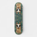 Search for llama skateboards Animal