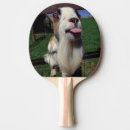 Recherche de chèvre raquettes ping pong Drôle