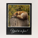 Search for fox puzzles Wild animal