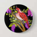 Search for colours of spring buttons Springtime