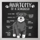 Recherche de anatomie chien posters Animal