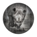 Recherche de rhinocéros Nature