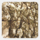 Search for tree bark stickers Brown