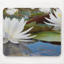Search for texas mousepads Flora