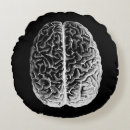 Search for brain pillows Anatomy