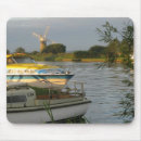 Search for for cruisers electronics Boats