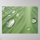 Search for wet paint posters Background