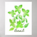Search for basil posters Kitchen