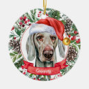 Recherche de weimaraner ornaments Chien