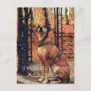 Recherche de rois cartes postales Parc