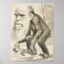 Search for charles darwin posters Ape