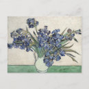 Search for dutch iris postcards Floral