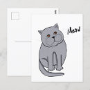 Recherche de chat orange cartes postales Amoureux des chats