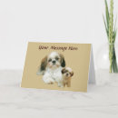 Recherche de shitzu vœux cartes Shih tzu
