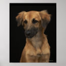 Search for dog nose art Photography
