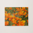 Recherche de coquelicot puzzles Fleurs sauvages